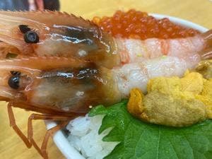 北のどんぶり屋 滝波食堂