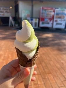 道の駅 彼杵の荘