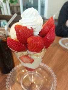 キャンベル・アーリー 福岡空港店