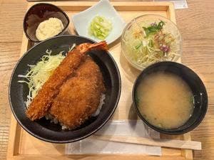 新潟カツ丼タレカツ 心斎橋店