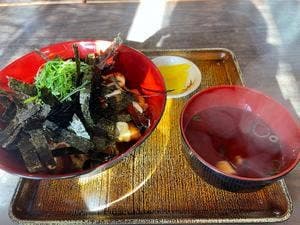 土佐うどん