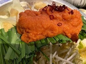 居酒屋 大人のホルモン 十三店