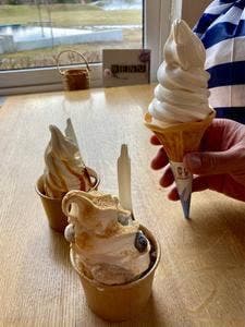 木かげのカフェ