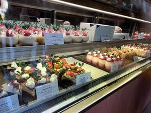 ボンタンズール 尾張旭店