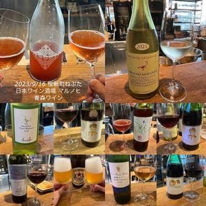 日本ワイン酒場 マルノヒ