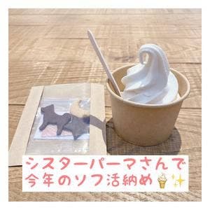 シスターパーマ