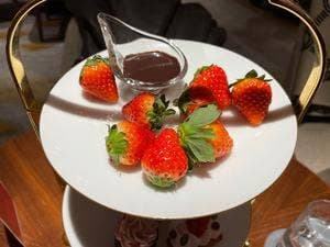 ティーラウンジ MAYFAIR ウェスティン都ホテル京都