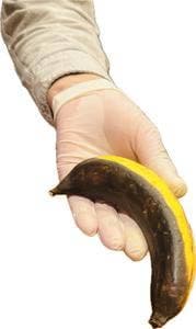 おくゆき