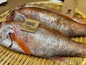 のど黒屋 新橋店