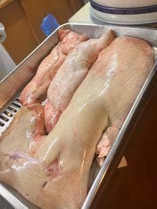 魚誠