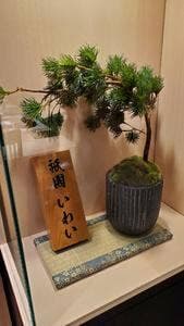 赤坂 鮨 天ぷら 祇園いわい