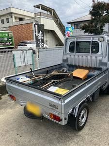 橙季