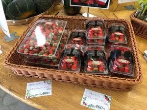 直売所 寄って美菜