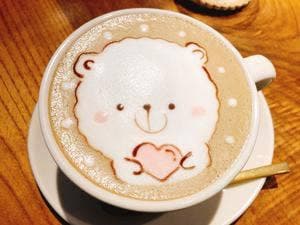 nounours cafe