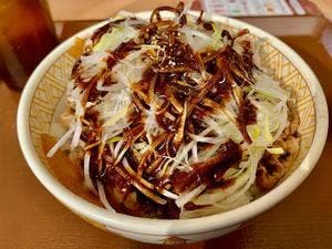 すき家 309号堺黒山店