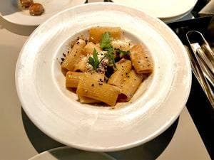 マーサーブランチ テラスハウストウキョウ