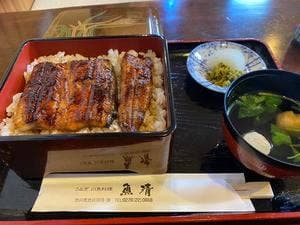 うなぎ川魚料理 魚清