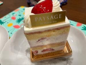 PAYSAGE 伊勢丹新宿店