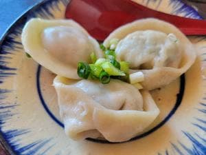 発酵点心 丸亀餃子