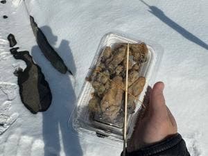 道の駅 サロマ湖 ファーストフードコーナー