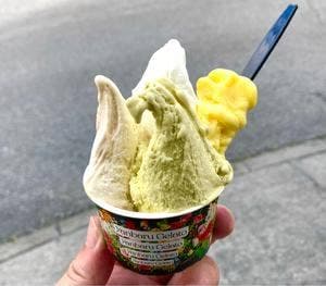 やんばるジェラート 本店