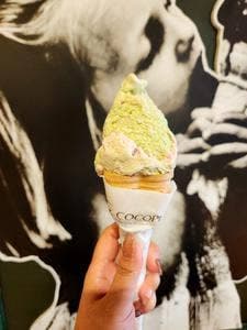 COCOPLUS