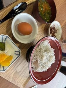 しらす丼 長栄