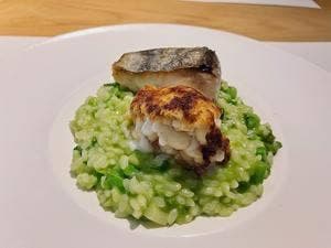 雑食堂 THE SHOKUDO