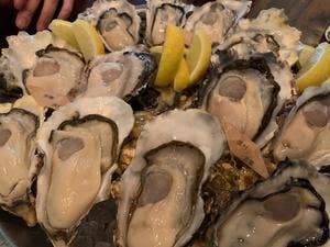 サカナバル グリル