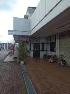オリーブ