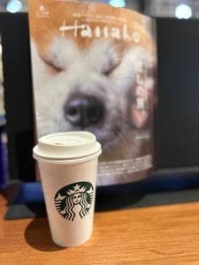 スターバックス コーヒー TSUTAYA BOOKSTORE 東雲店