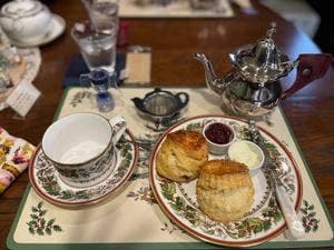 Tea Salon Blue moon