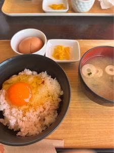 たかたのたまご