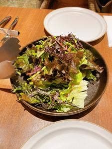 TheSHEEPFORCE