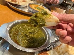 インド料理 15の象