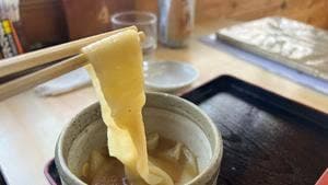 雪の屋