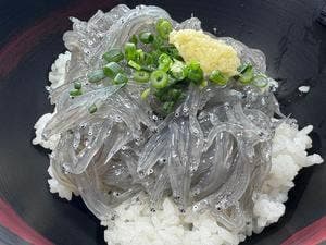 田子の浦漁協食堂