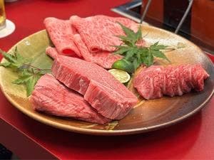ヒレ焼肉 京都園