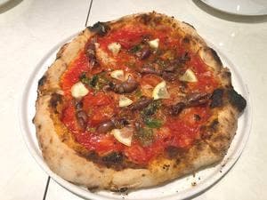 ターナ フォルノ