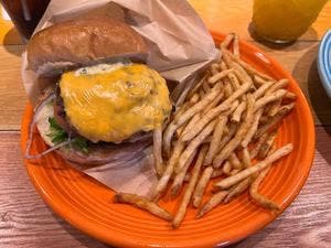 コナズ珈琲 守山