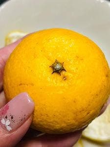 石澤商店みかん問屋