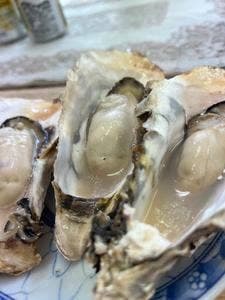 みさきさざゑ店