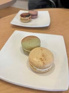 Maccalooseよこすか