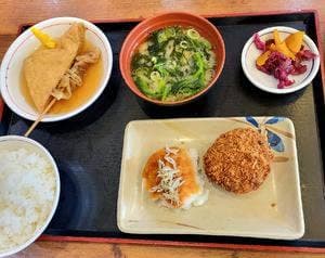 ザめしや 高井田店