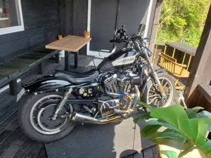 Green Metallic Terrace