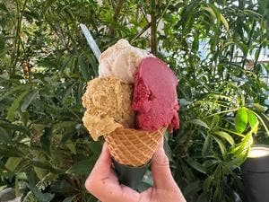 Giolitti 東急プラザ原宿ハラカド店