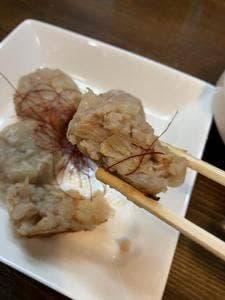 にこみ旅行