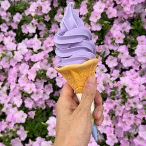 あしかがフラワーパーク フードテラス