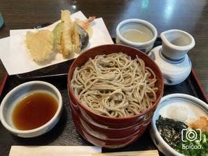 献上そば 羽根屋 本店