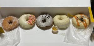 TOMORROW TIGER BAGEL